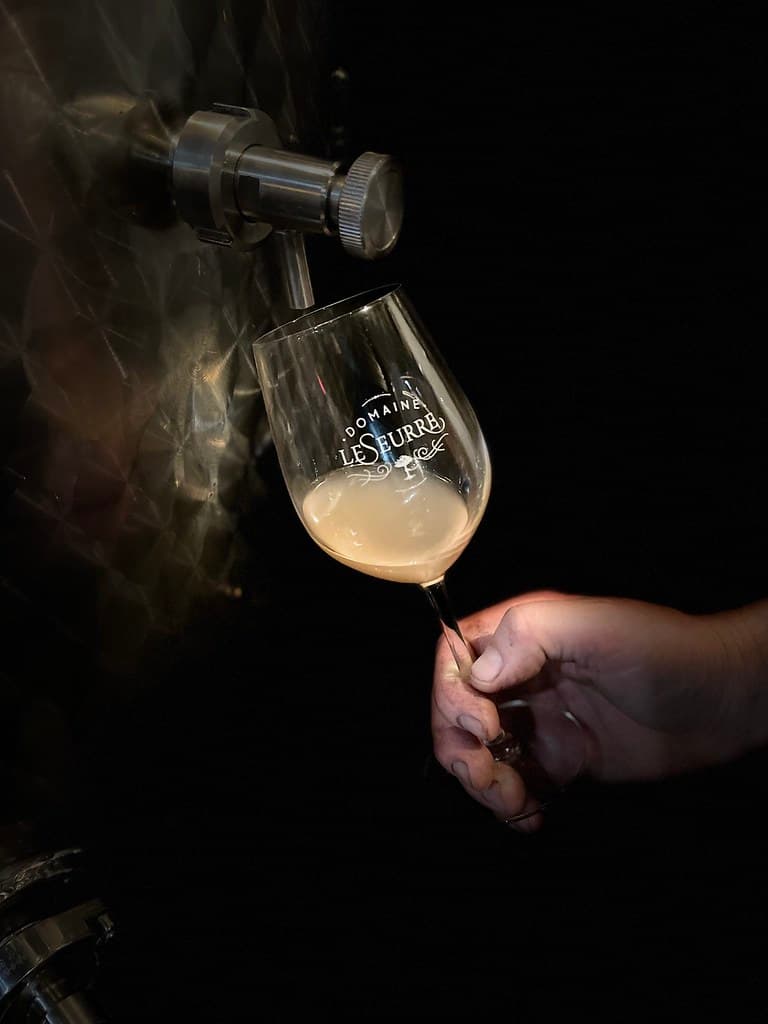 Tasting wine directly from the cellar.
